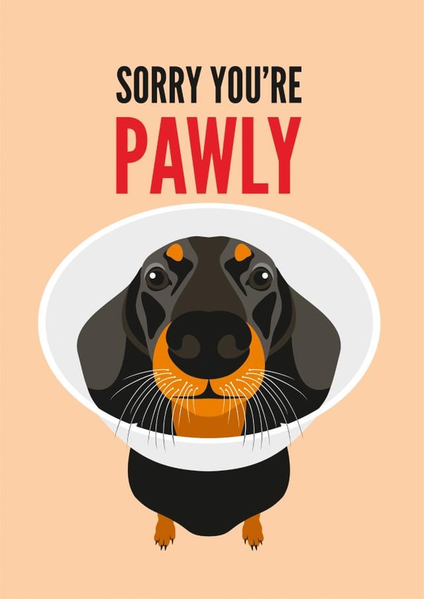 Pawly sausage dog get well soon card created by Diva Doodle Designs