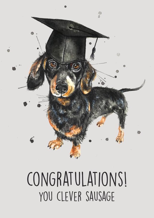 sausage dog watercolour Graduation Card 13895 created by Splatterworks