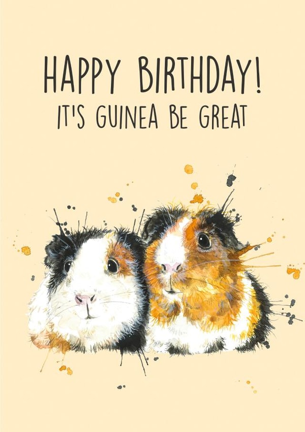 watercolour guinea pig Birthday Card 13896 created by Splatterworks