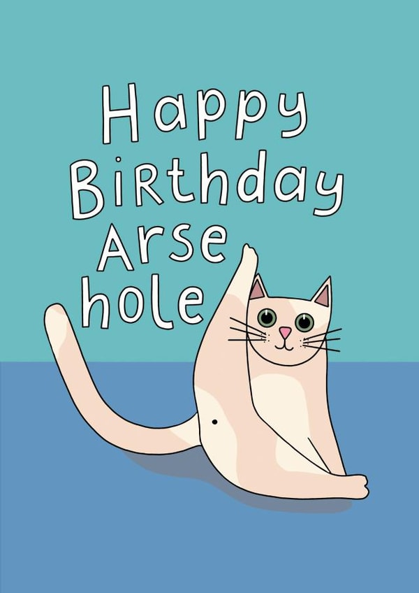 Happy Birthday Arsehole created by Sweary Cats by Leaf Lane Studio