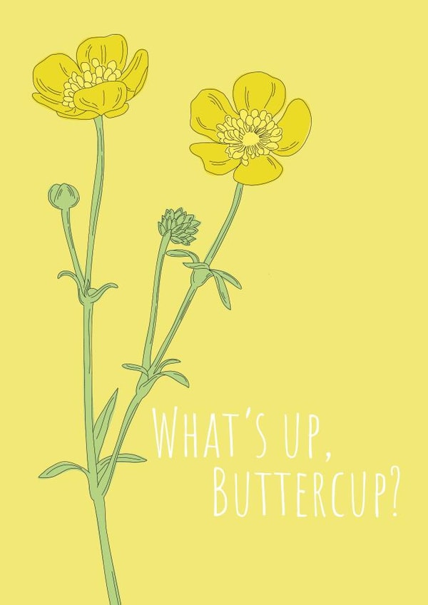 Buttercup what's up Just because Card 19594 created by Anna Norburn