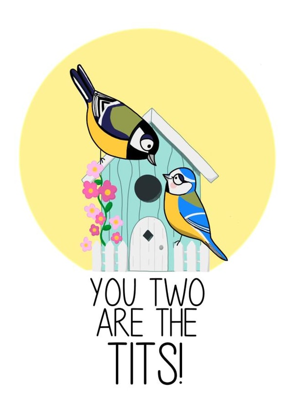 Cheeky Blue Tits Anniversary Card / Valentines Day card - You Two Are The Tits! created by Leanneco.Studio