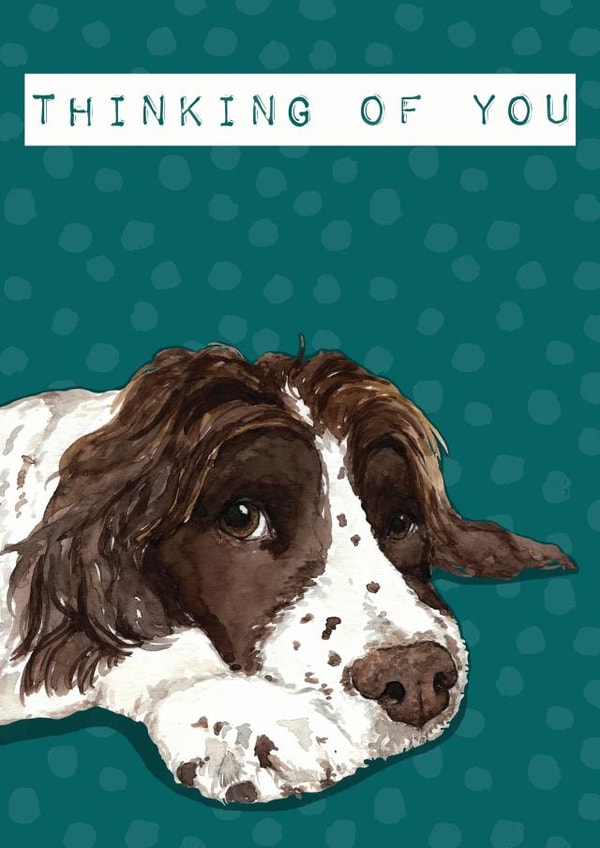 Thinking of you springer spaniel dog card created by Bramble Designs