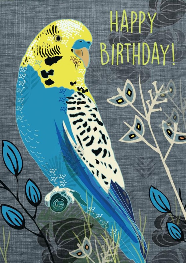 bird illustration Birthday Card 2337 created by Rocket68