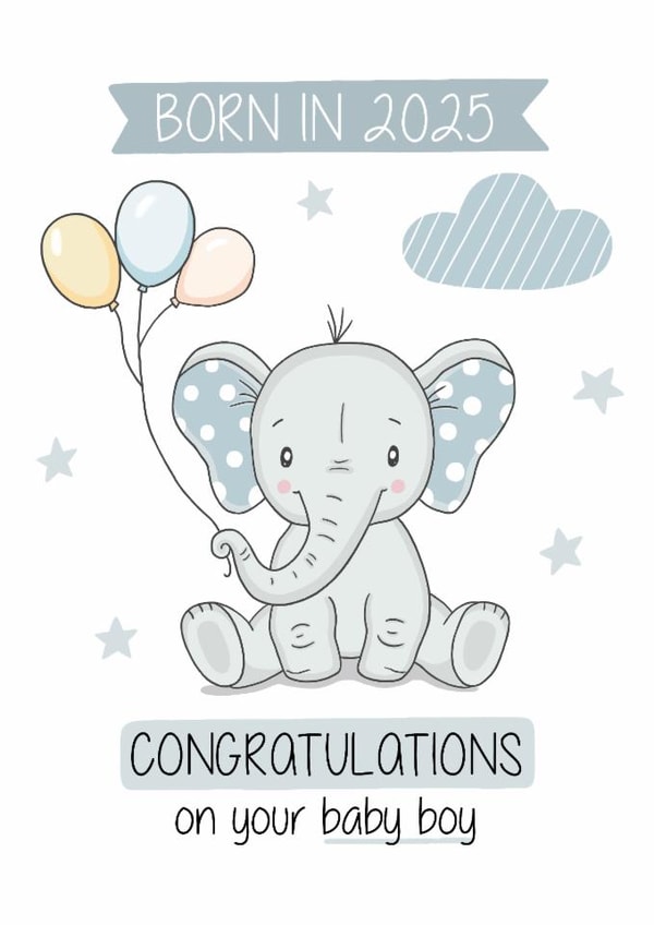 Born in 2025 Baby Boy created by Creaternet