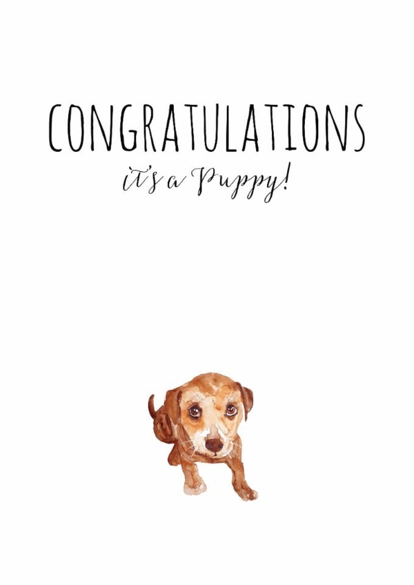 Congratulations new Congratulations Card 1603 created by Jo Scott Art