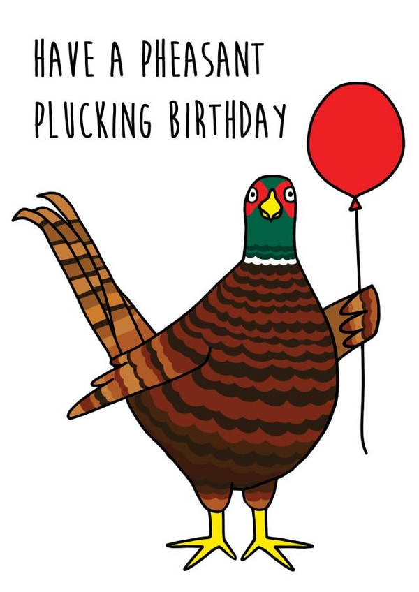 pheasant funny Birthday Card 18797 created by Holly Collective