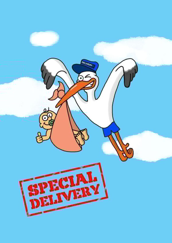 Special Delivery New Baby Card created by Cheeky Boar