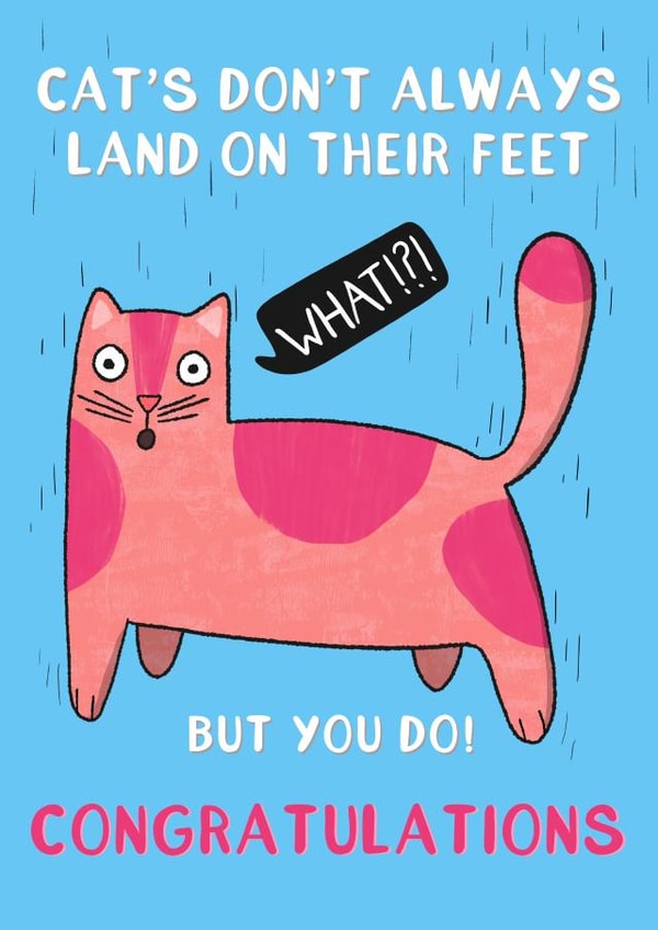 Land on Your Feet created by Drawn to Cats