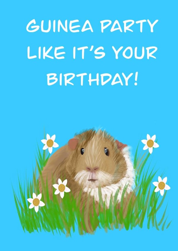 Guinea pig birthday card. Perfect for a pet lover created by Rae of Sunshine