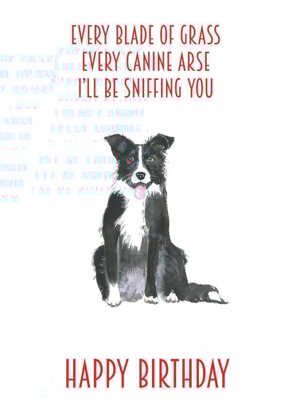 collie dog Birthday Card 14210 created by Sarah Maddox