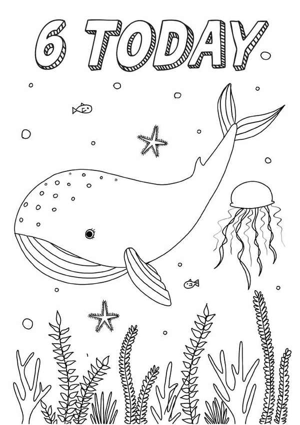 6 Today Whale Colouring Card created by Zoe-Claire
