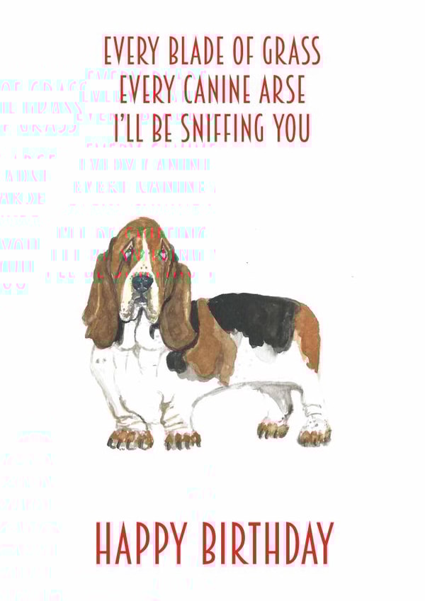 basset hound basset Birthday Card 14218 created by Sarah Maddox