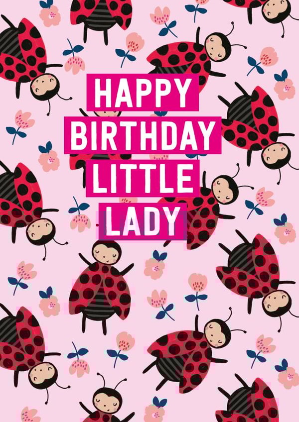 ladybird lady bird Birthday Card 20299 created by Mifkins