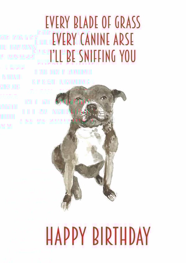 canine Pets Birthday Card 14220 created by Sarah Maddox