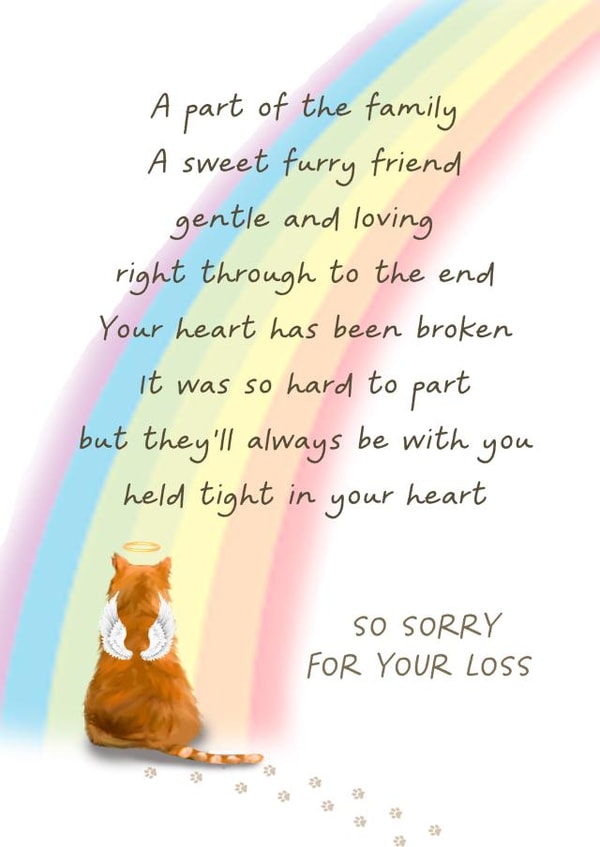 cat ginger Sympathy Card 7210 created by Giddy Kipper