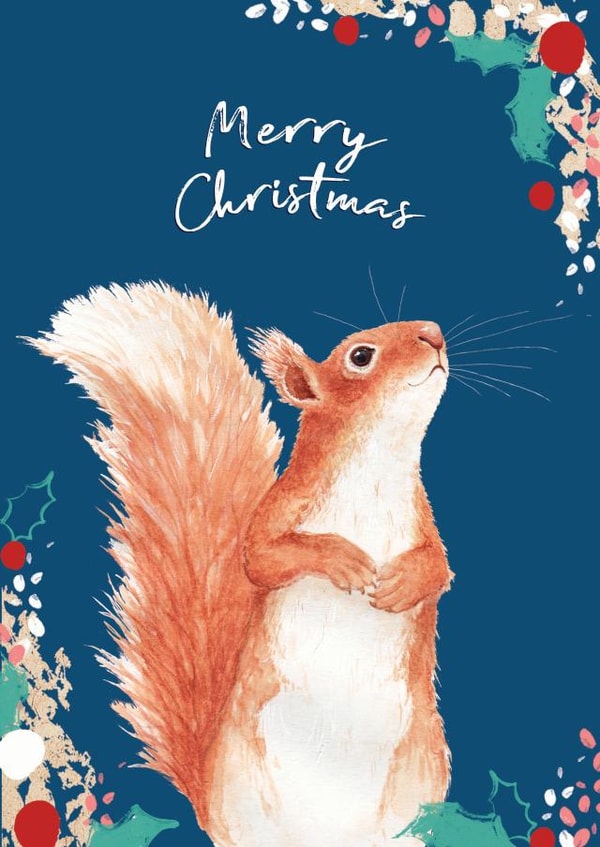 Beautiful Merry Christmas Red Squirrel - Cute Wildlife watercolour and pattern created by Miss Meaney's