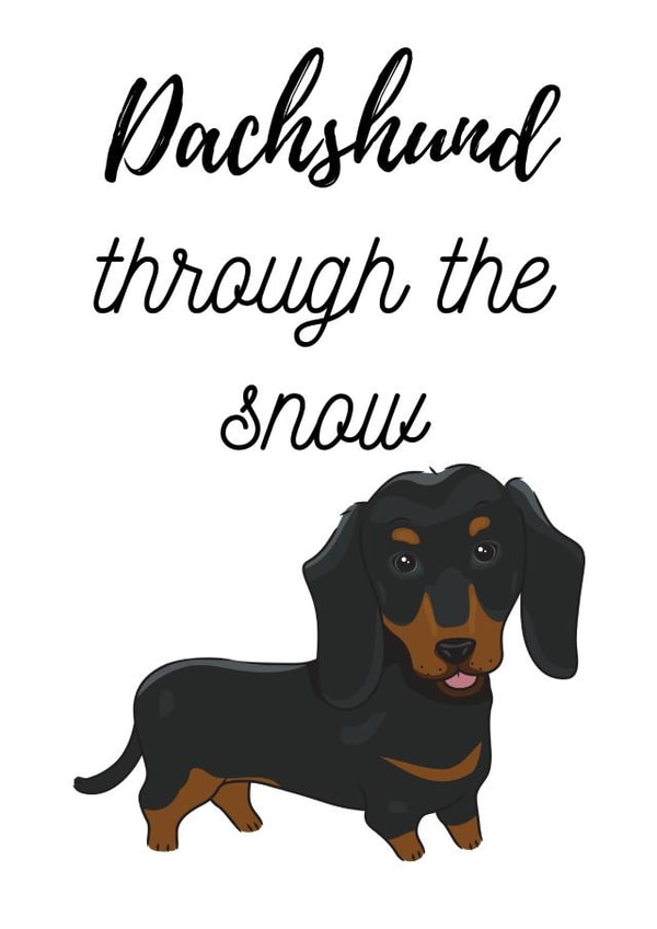 Animals adult Christmas Card 43736 created by cardsopia