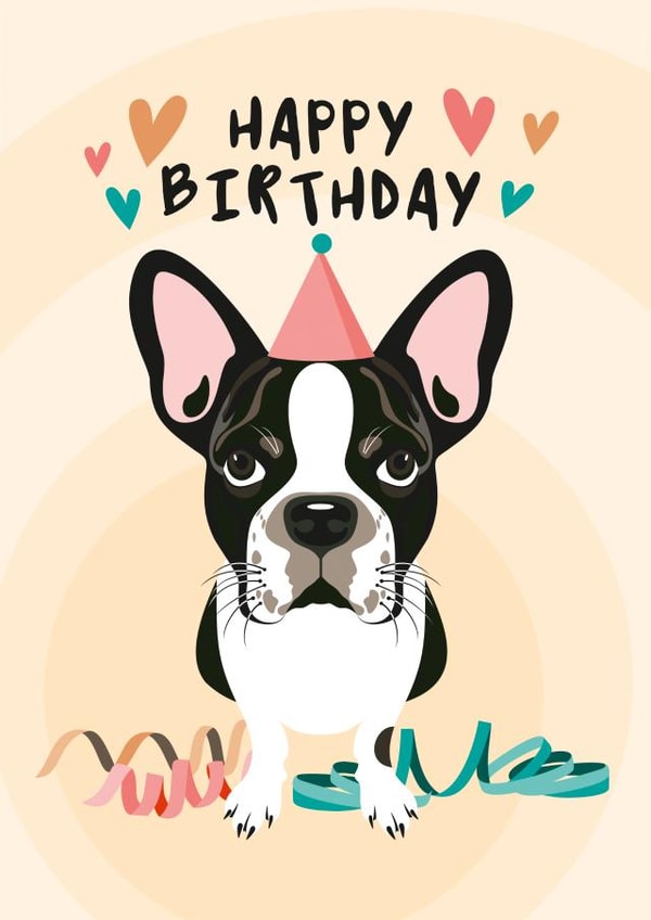 Birthday card featuring a cute Boston Terrier created by Diva Doodle Designs