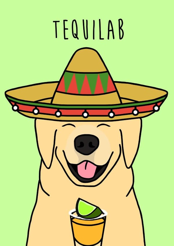 tequila tequila shot Birthday Card 18798 created by Holly Collective