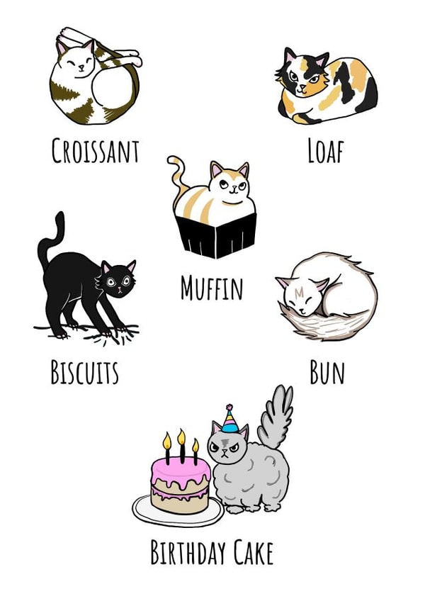 Bakery Cats Birthday Card created by Send Salutations