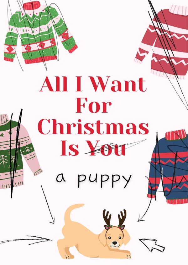 Card 33589 created by Warwick Studios