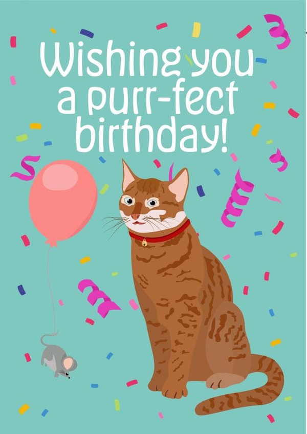 Cat Cats Birthday Card 17339 created by Haydn Pole