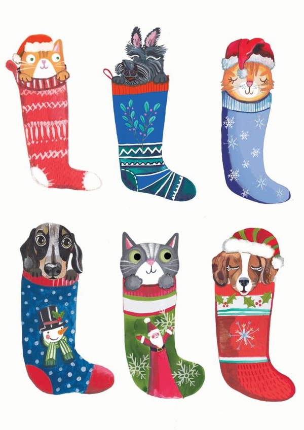 Cute - Furry Friends - Christmas Stockings - Animals - Cats and Dogs - Fluffy Stockings - Pets - Christmas Card created by Sally Darby Illustration