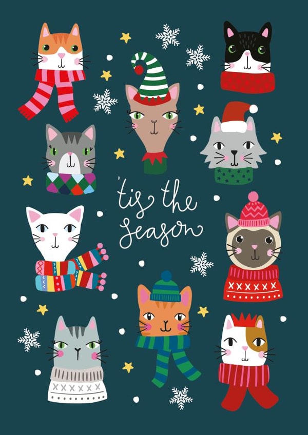 Tis The Season - Christmas Cats - Cats - Festive Felines - Cat Lover - Cute - Modern - Christmas Card created by Mifkins