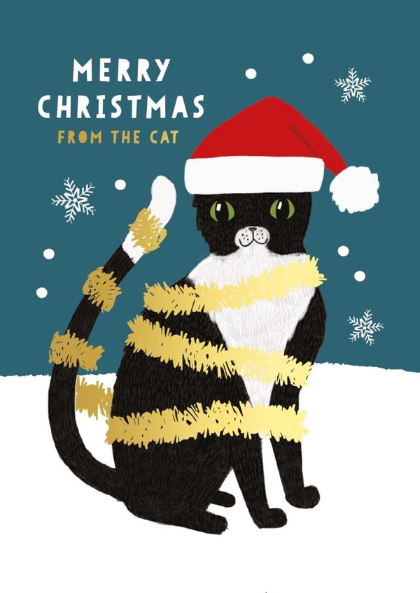 from the cat cat Christmas Card 20306 created by Mifkins