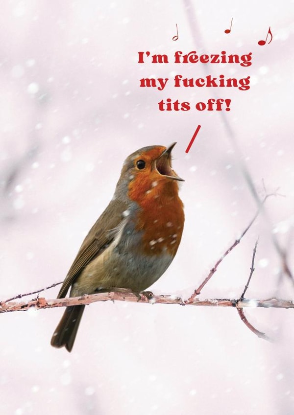 Rude Christmas Christmas Card 12173 created by Brainbox Candy