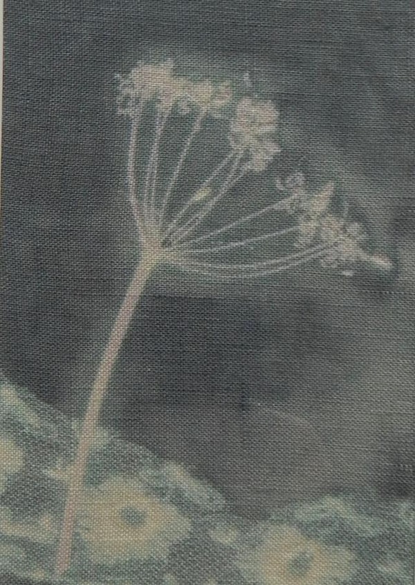 Card 45814 created by Hannah Morris