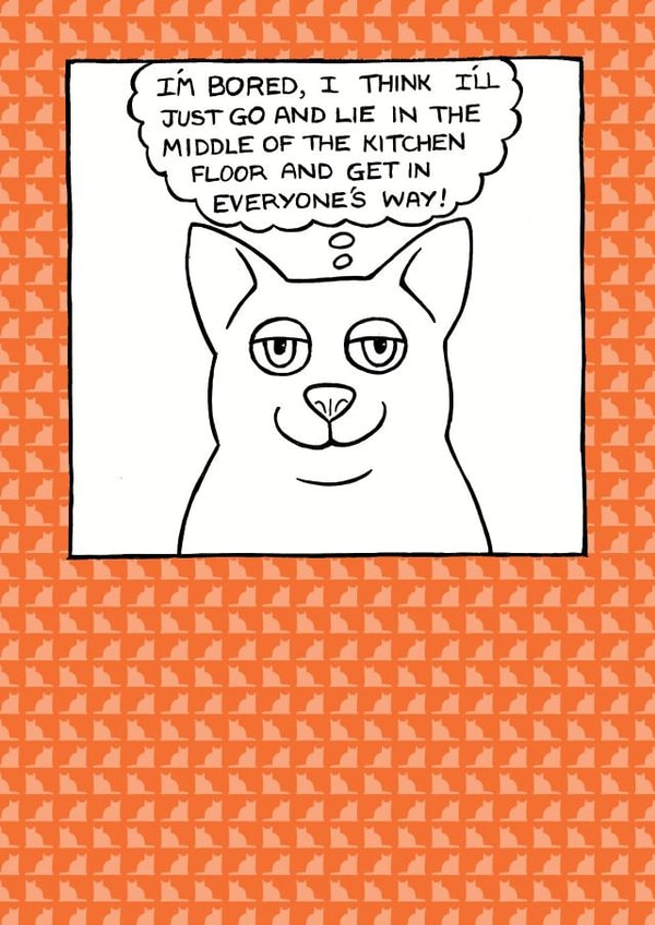 cat lady cats Just because Card 1828 created by On The Prowl Cat Cartoons