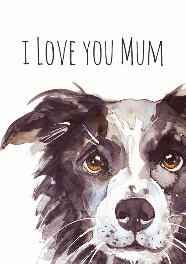 I love you Mum Border Collie Mothers Day Card 1606 created by Jo Scott Art