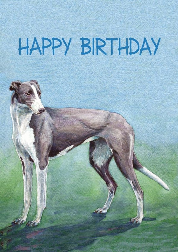 Illustration Lurcher Birthday Card 35651 created by Richard Marsh Art