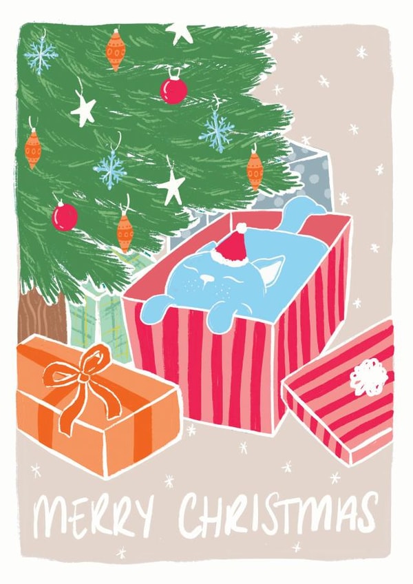 cat box Christmas Card 16625 created by That Fat Cat Illustration