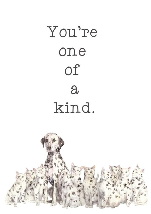 You're One of a Kind Unique Dog and Cat Dalmatian Friendship Card created by Wandering Laur