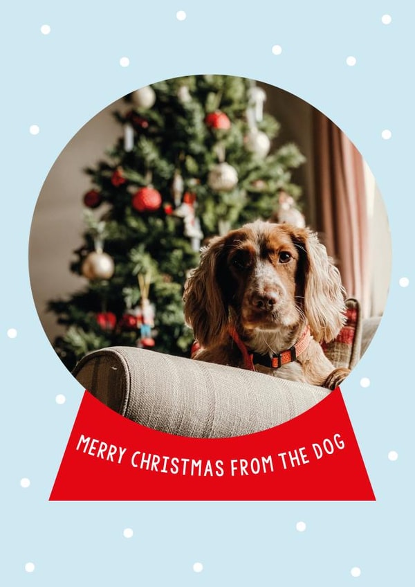 Classic Christmas Card - From The Dog - Snow Globe created by Megan Claire