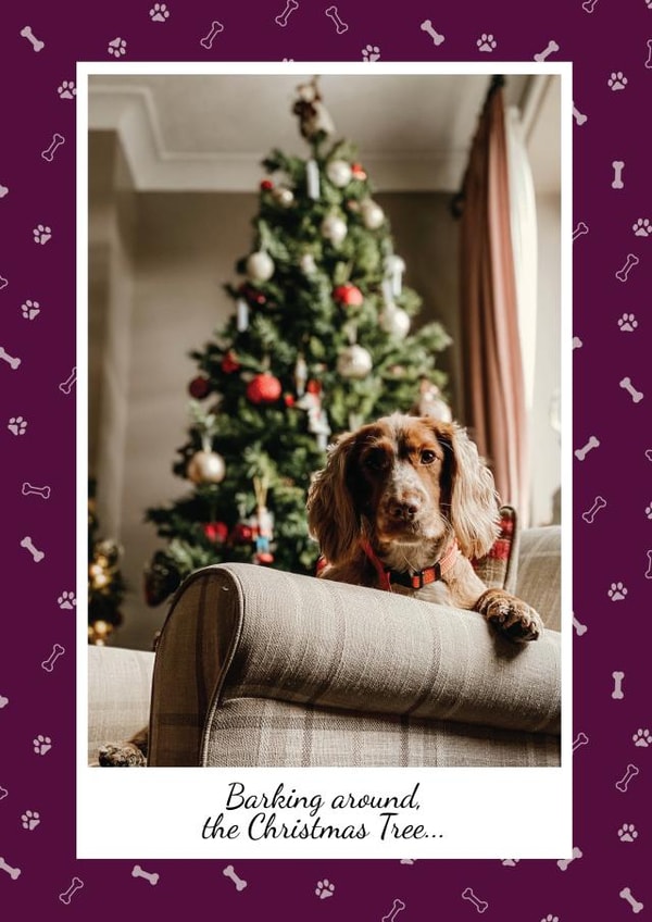 Funny Dog Pun Personalised Christmas Photo Card - Barking Around The Christmas Tree created by Dottie Mottie