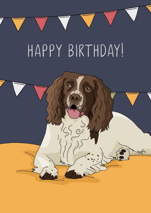 spaniel springer spaniel Birthday Card 11804 created by Evie Garnett Designs