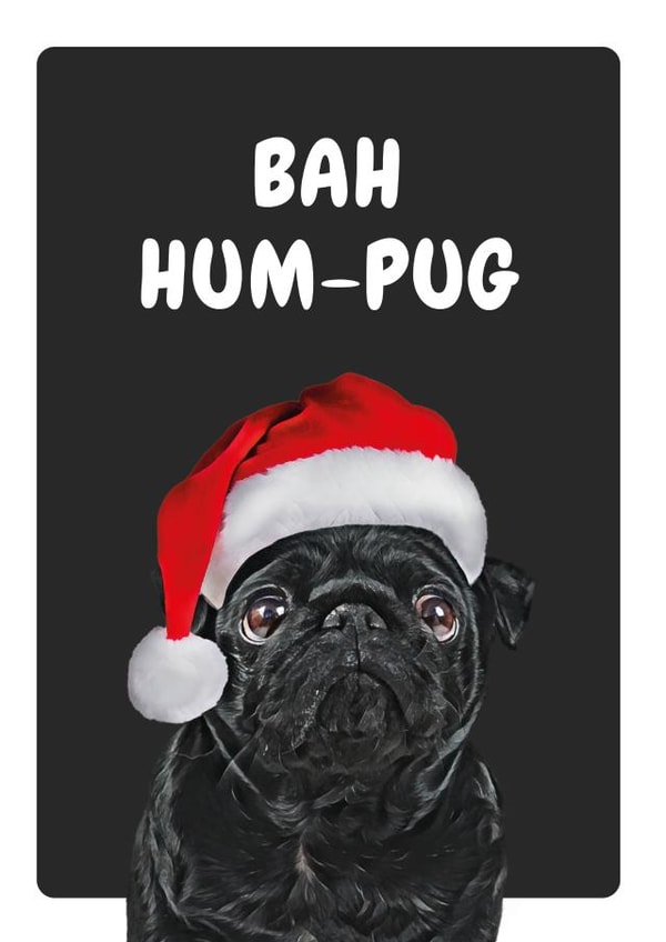 pug pun Christmas Card 20651 created by Studio Woof