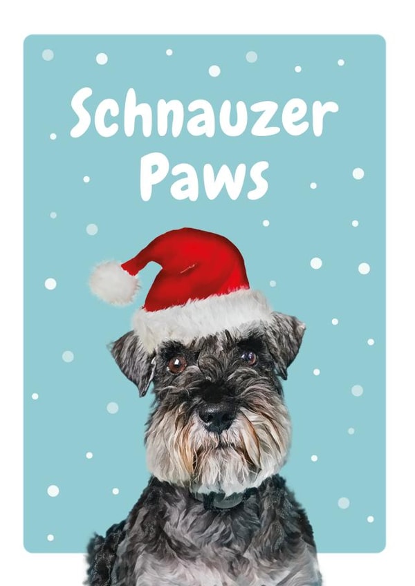Schnauzer Paws Christmas Card 20653 created by Studio Woof