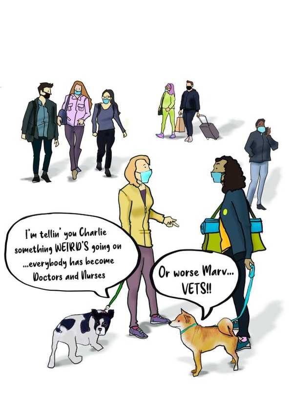 dog cv2020 Card 46447 created by Me Selfie Sufficient