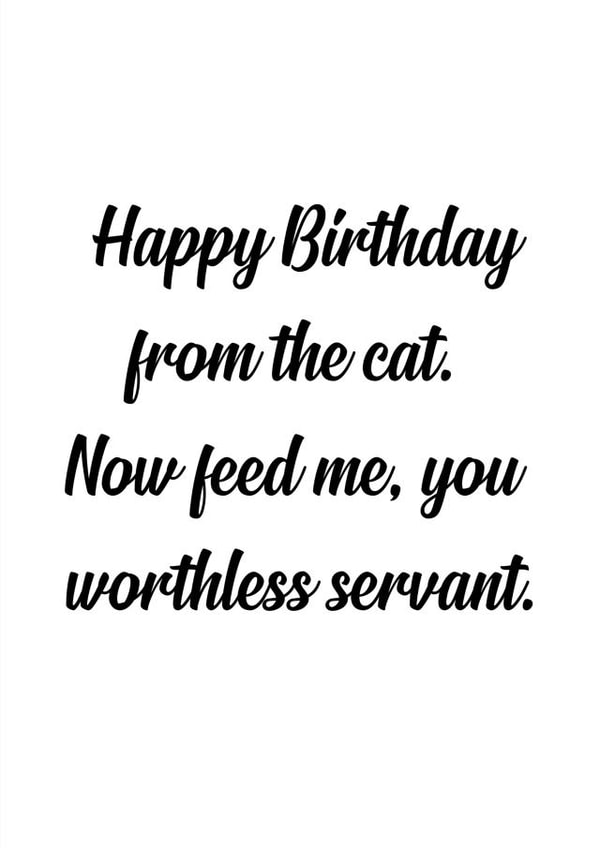 from the cat cat Birthday Card 15352 created by The Sweary Card Co