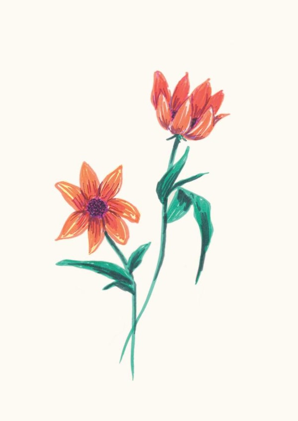 flowers drawing Love & Friendship Card 24327 created by Amanda Schrembeck