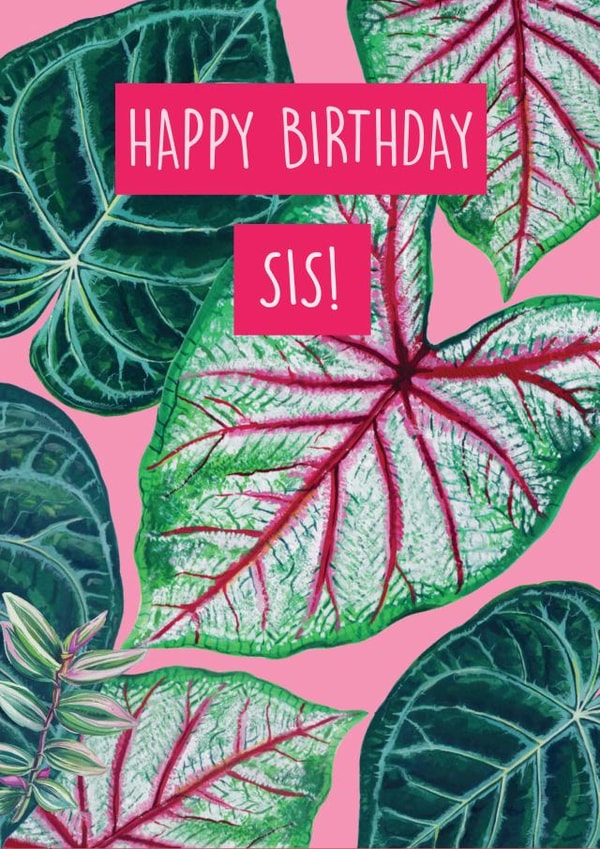 leaves plants Birthday Card 2347 created by Rocket68