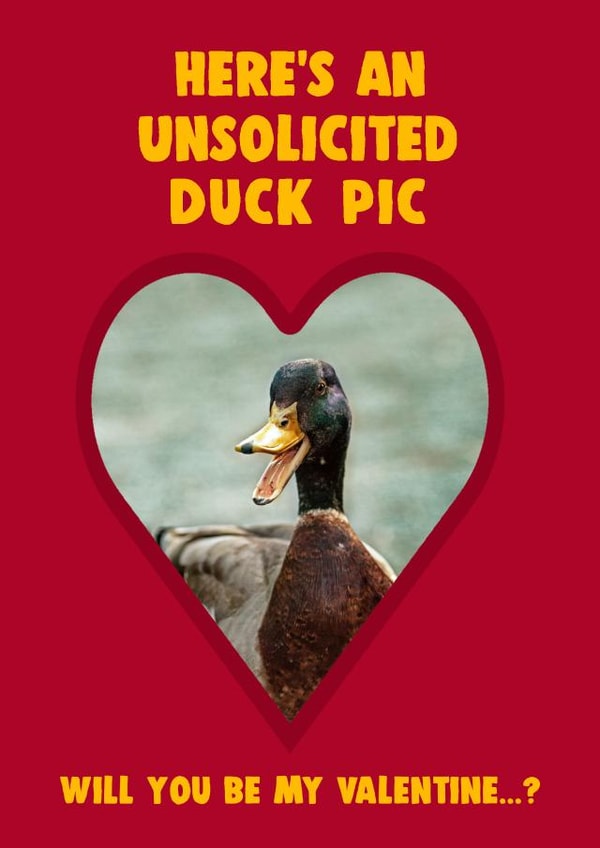 Unsolicited Duck Pic Valentine's Card created by Pottsy Prints