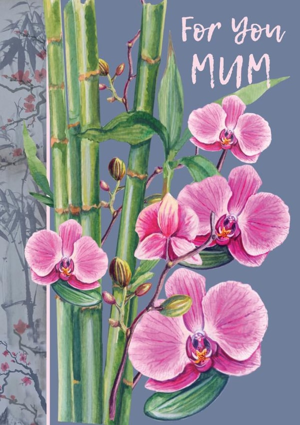 orchid flower Mothers Day Card 2370 created by Rocket68