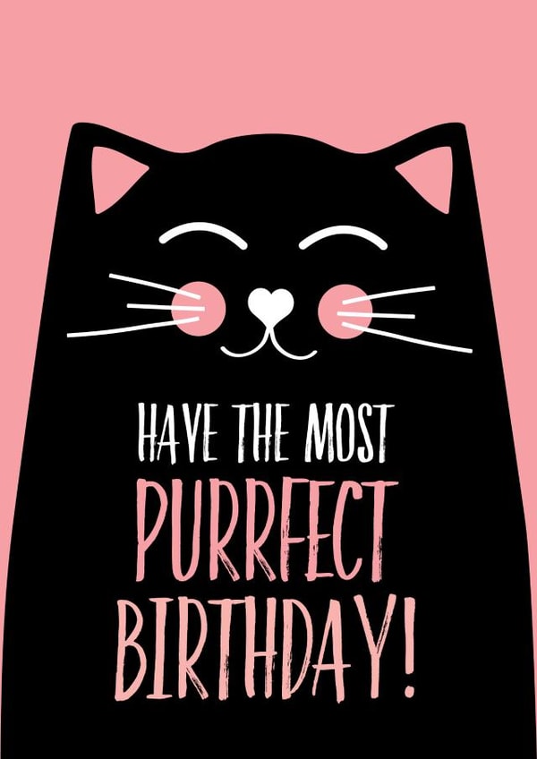 cat from the cat Birthday Card 12874 created by Blush & Blossom 