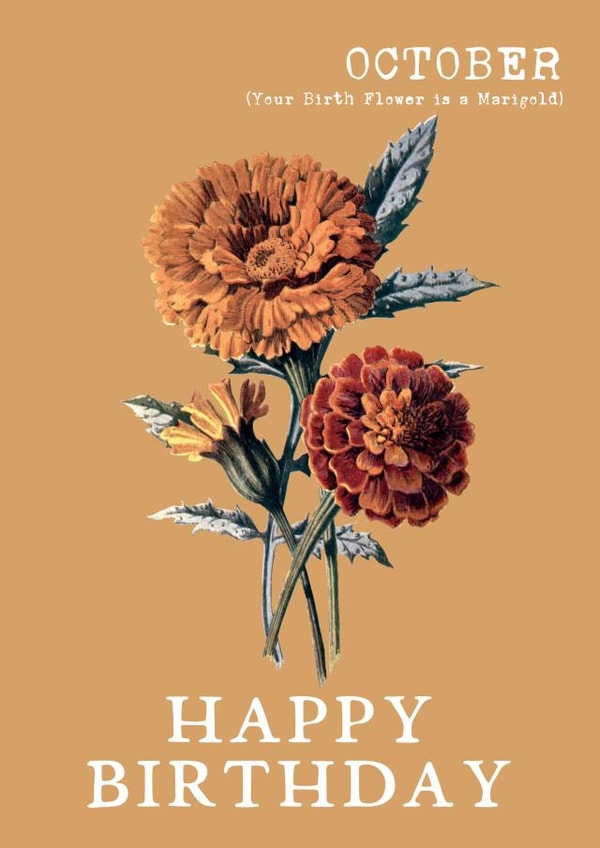 marigold pretty Birthday Card 10403 created by Summer Lane Studio